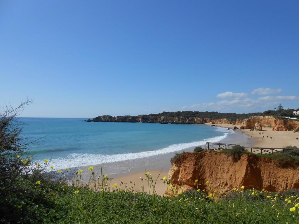 Clube Praia Vau Apt. 9G プライア・ダ・ローシャ エクステリア 写真